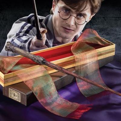 HARRY POTTER - BAGUETTES OLLIVANDER - Harry Potter