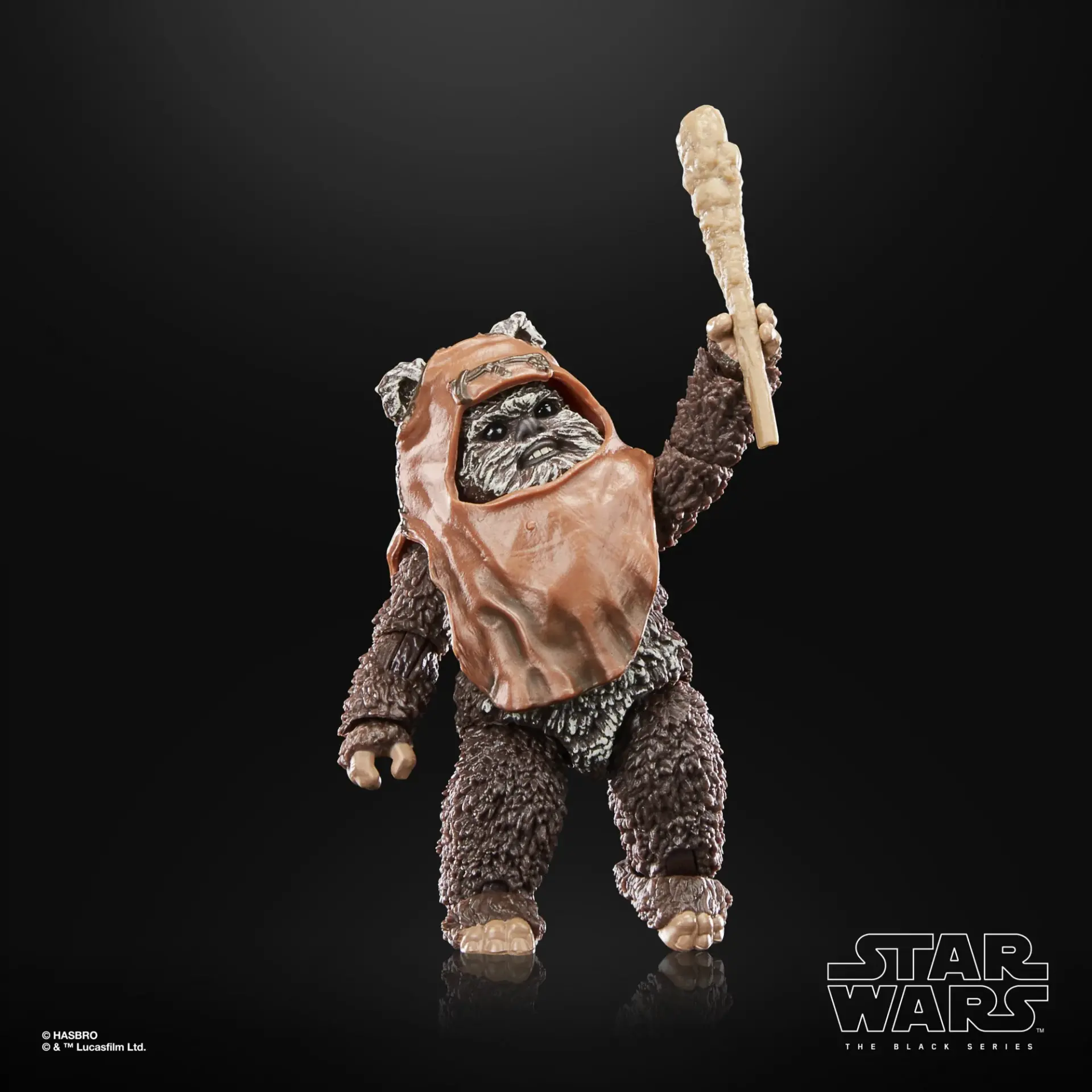 Star wars the black series wicket jawascave 4